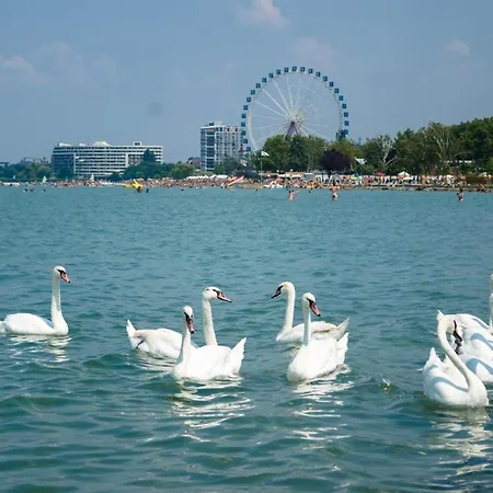 In - Balaton 53129 Apartment Zamárdi